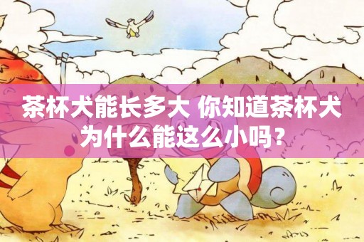 茶杯犬能長多大 你知道茶杯犬為什么能這么小嗎？