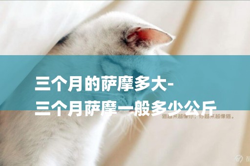 三個月的薩摩多大-
三個月薩摩一般多少公斤