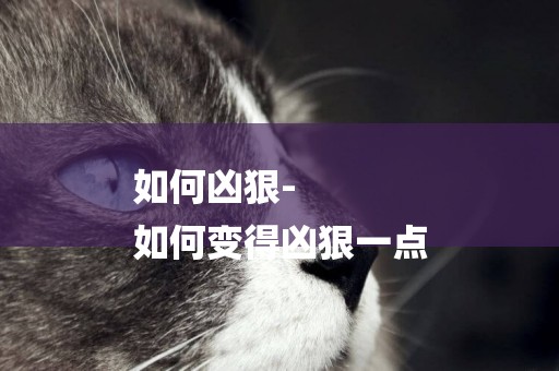 如何兇狠-
如何變得兇狠一點