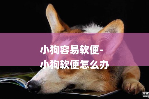 小狗容易軟便-
小狗軟便怎么辦