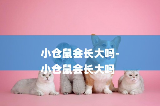 小倉鼠會長大嗎-
小倉鼠會長大嗎