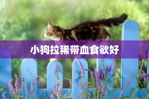 小狗拉稀帶血食欲好