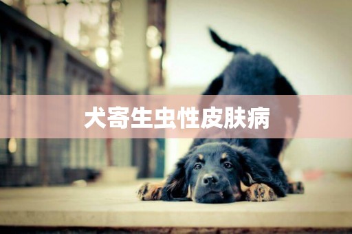 犬寄生蟲性皮膚病