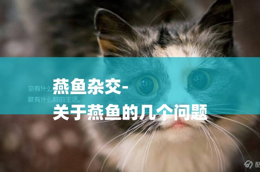 燕魚雜交-
關于燕魚的幾個問題