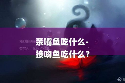 親嘴魚吃什么-
接吻魚吃什么？