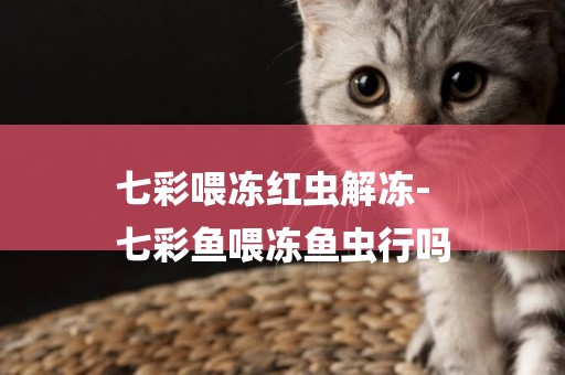 七彩喂凍紅蟲解凍-
七彩魚喂凍魚蟲行嗎