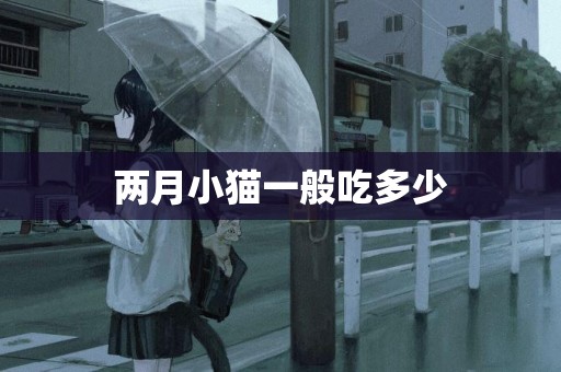 兩月小貓一般吃多少