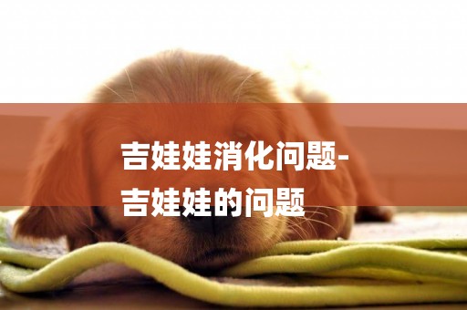 吉娃娃消化問題-
吉娃娃的問題