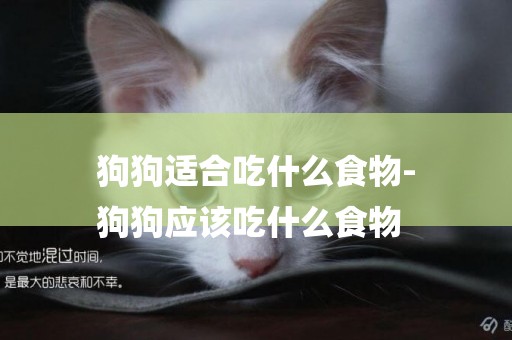 狗狗適合吃什么食物-
狗狗應該吃什么食物