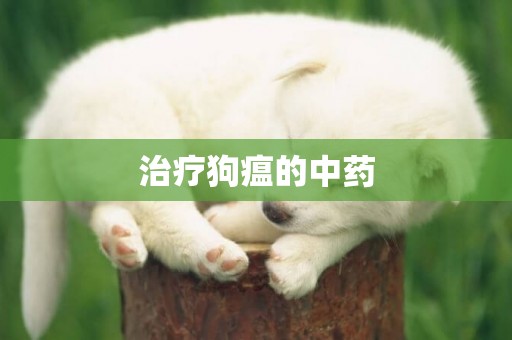 治療狗瘟的中藥