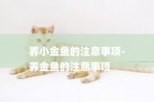 養小金魚的注意事項-
養金魚的注意事項