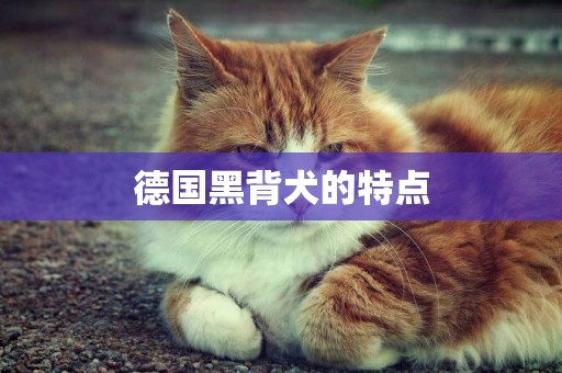德國黑背犬的特點