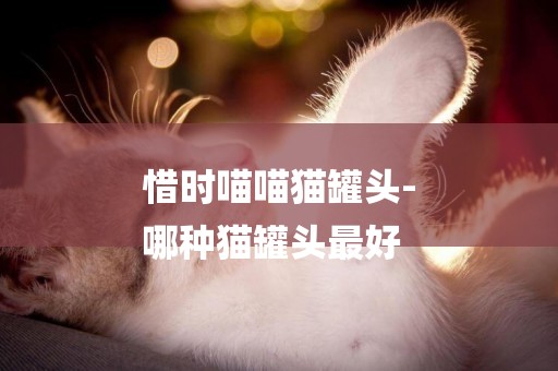 惜時喵喵貓罐頭-
哪種貓罐頭最好