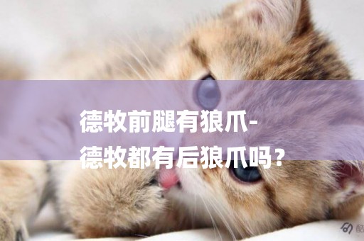 德牧前腿有狼爪-
德牧都有后狼爪嗎？