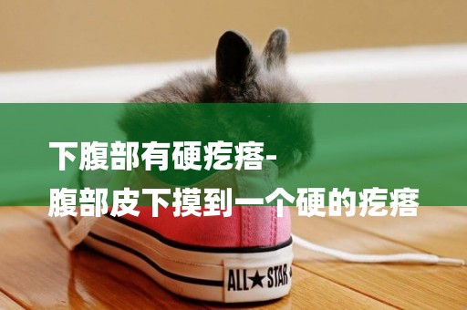 下腹部有硬疙瘩-
腹部皮下摸到一個硬的疙瘩