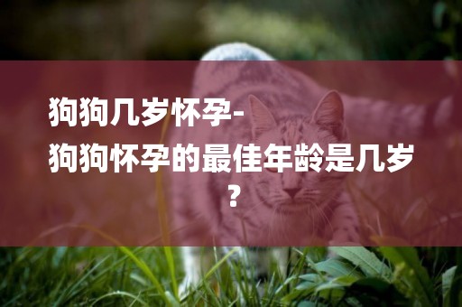 狗狗幾歲懷孕-
狗狗懷孕的最佳年齡是幾歲？