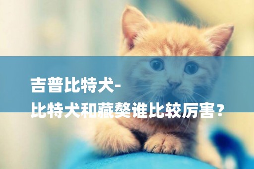 吉普比特犬-
比特犬和藏獒誰比較厲害？
