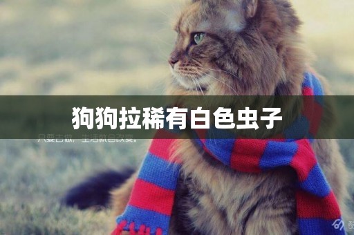 狗狗拉稀有白色蟲子