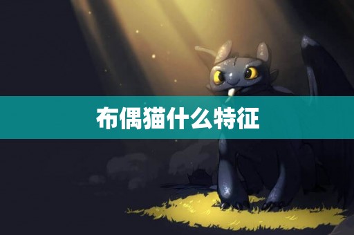 布偶貓什么特征