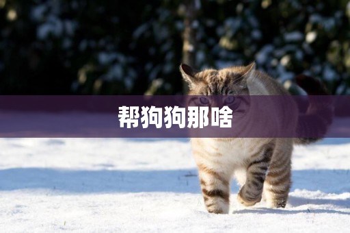 幫狗狗那啥