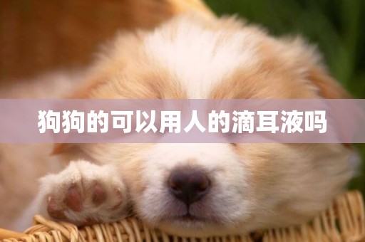 狗狗的可以用人的滴耳液嗎
