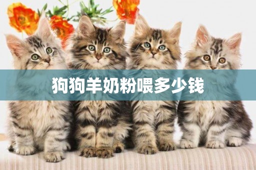 狗狗羊奶粉喂多少錢