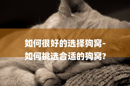 如何很好的選擇狗窩-
如何挑選合適的狗窩?