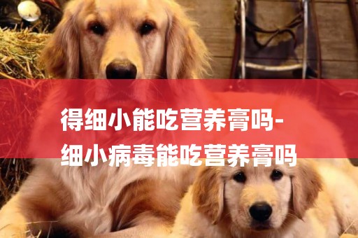 得細小能吃營養膏嗎-
細小病毒能吃營養膏嗎