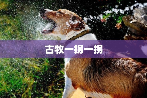 古牧一拐一拐