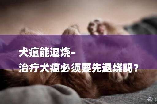 犬瘟能退燒-
治療犬瘟必須要先退燒嗎？