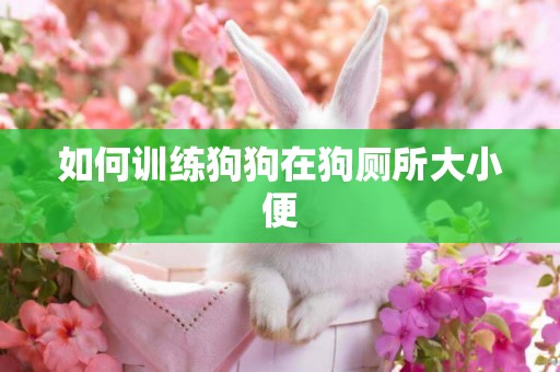 如何訓練狗狗在狗廁所大小便