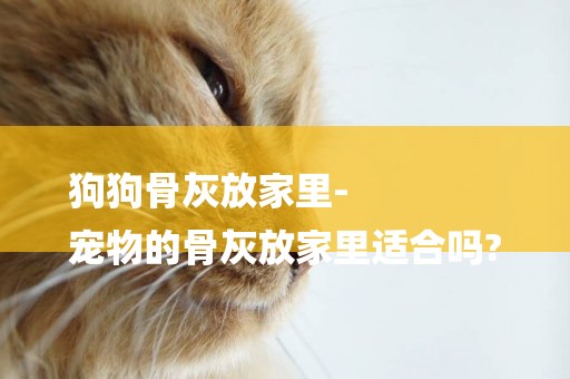 狗狗骨灰放家里-
寵物的骨灰放家里適合嗎?