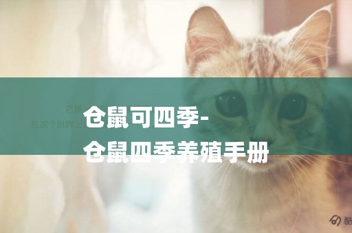 倉鼠可四季-
倉鼠四季養殖手冊