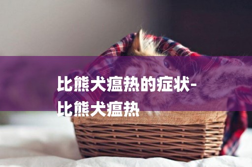 比熊犬瘟熱的癥狀-
比熊犬瘟熱