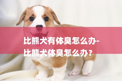 比熊犬有體臭怎么辦-
比熊犬體臭怎么辦？