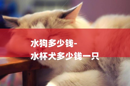 水狗多少錢-
水杯犬多少錢一只