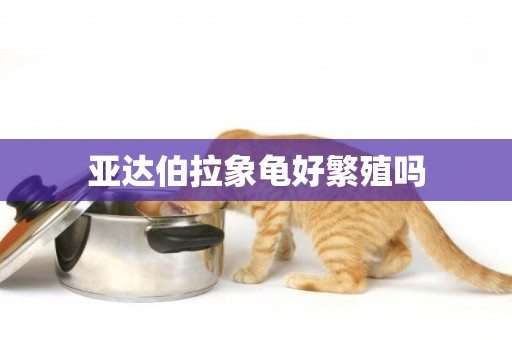 亞達伯拉象龜好繁殖嗎