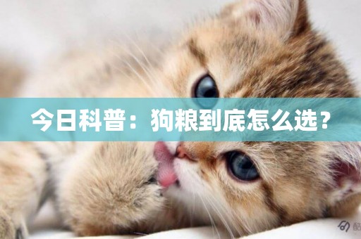 今日科普:狗糧到底怎么選? 今日科普:狗糧到底怎么選?