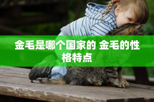 金毛是哪個國家的 金毛的性格特點