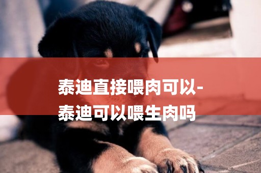 泰迪直接喂肉可以-
泰迪可以喂生肉嗎