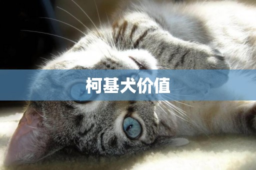 柯基犬價值