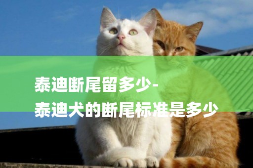 泰迪斷尾留多少-
泰迪犬的斷尾標準是多少
