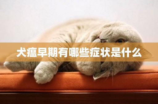 犬瘟早期有哪些癥狀是什么