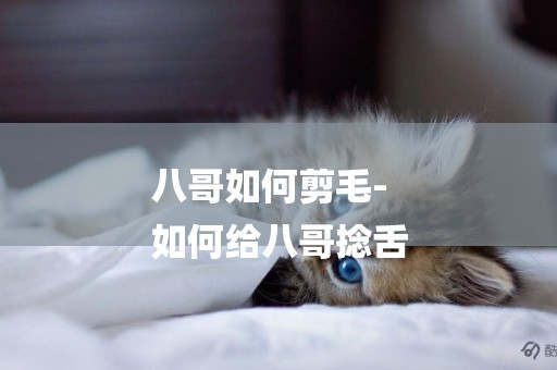 八哥如何剪毛-
如何給八哥捻舌