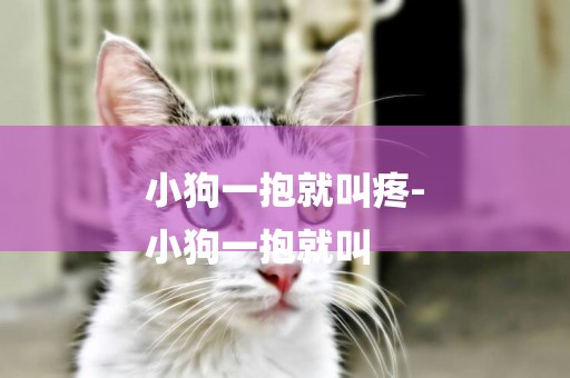 小狗一抱就叫疼-
小狗一抱就叫