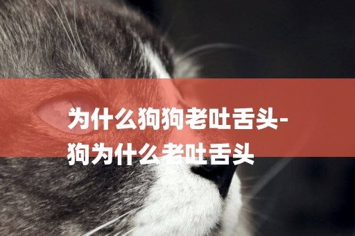 為什么狗狗老吐舌頭-
狗為什么老吐舌頭