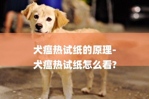 犬瘟熱試紙的原理-
犬瘟熱試紙怎么看?