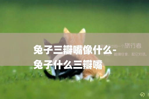 兔子三瓣嘴像什么-
兔子什么三瓣嘴