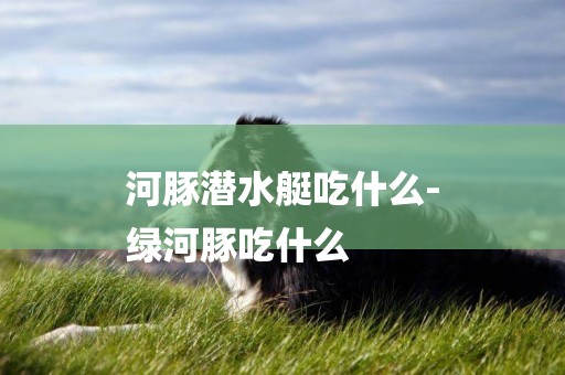 河豚潛水艇吃什么-
綠河豚吃什么