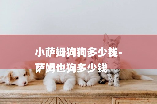 小薩姆狗狗多少錢-
薩姆也狗多少錢